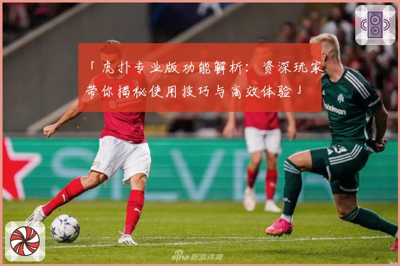 「虎扑专业版功能解析：资深玩家带你揭秘使用技巧与高效体验」