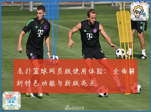 虎扑篮球网页版使用体验：全面解析特色功能与新版亮点