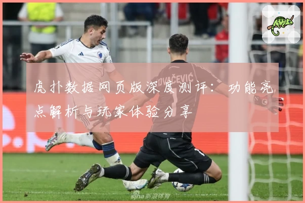 虎扑数据网页版深度测评：功能亮点解析与玩家体验分享