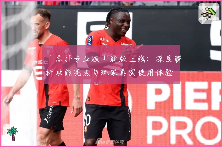 「虎扑专业版」新版上线:深度解析功能亮点与玩家真实使用体验