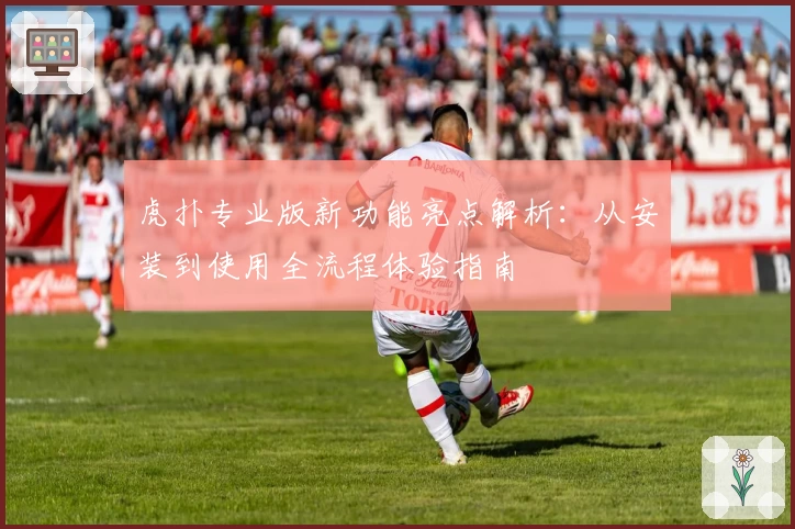 虎扑专业版新功能亮点解析：从安装到使用全流程体验指南