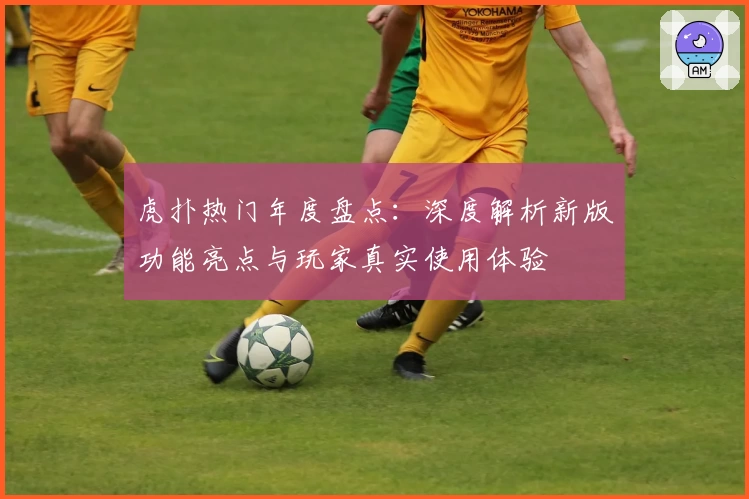 虎扑热门年度盘点：深度解析新版功能亮点与玩家真实使用体验
