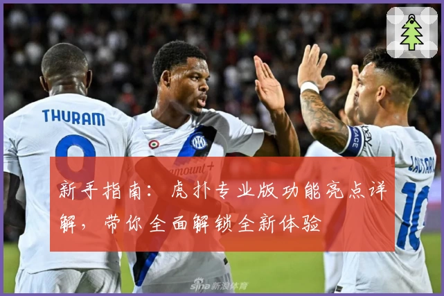 新手指南：虎扑专业版功能亮点详解，带你全面解锁全新体验